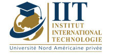 IIT -USA